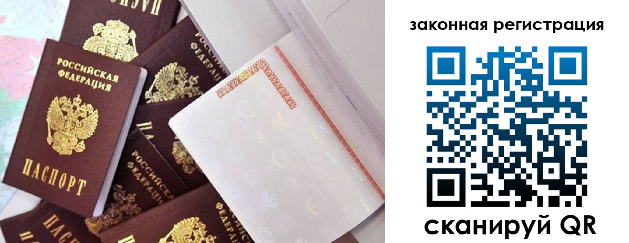 где прописаться в Ленинградской области